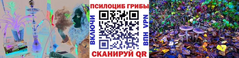 купить   Волгореченск  Галлюциногенные грибы ЛСД 