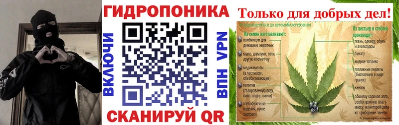 Каннабис конопля  Волгореченск 
